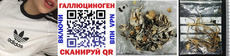 Галлюциногенные грибы MAGIC MUSHROOMS  Богородск 